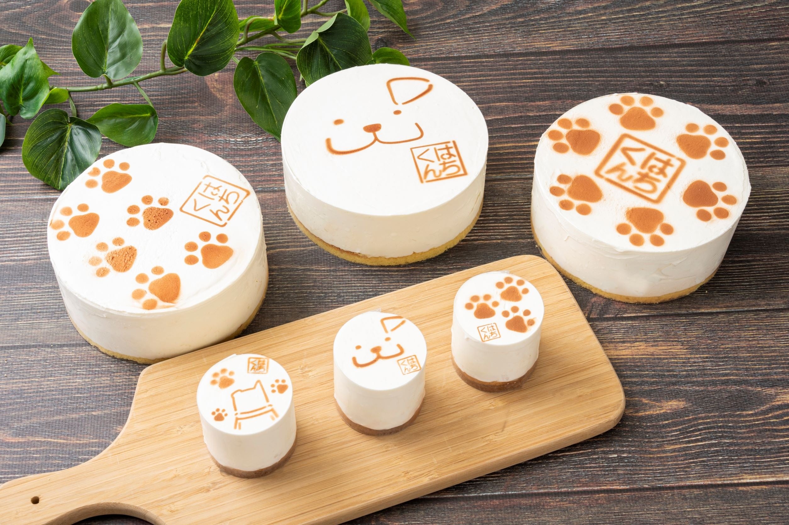 はちくんのガトーフロマージュ