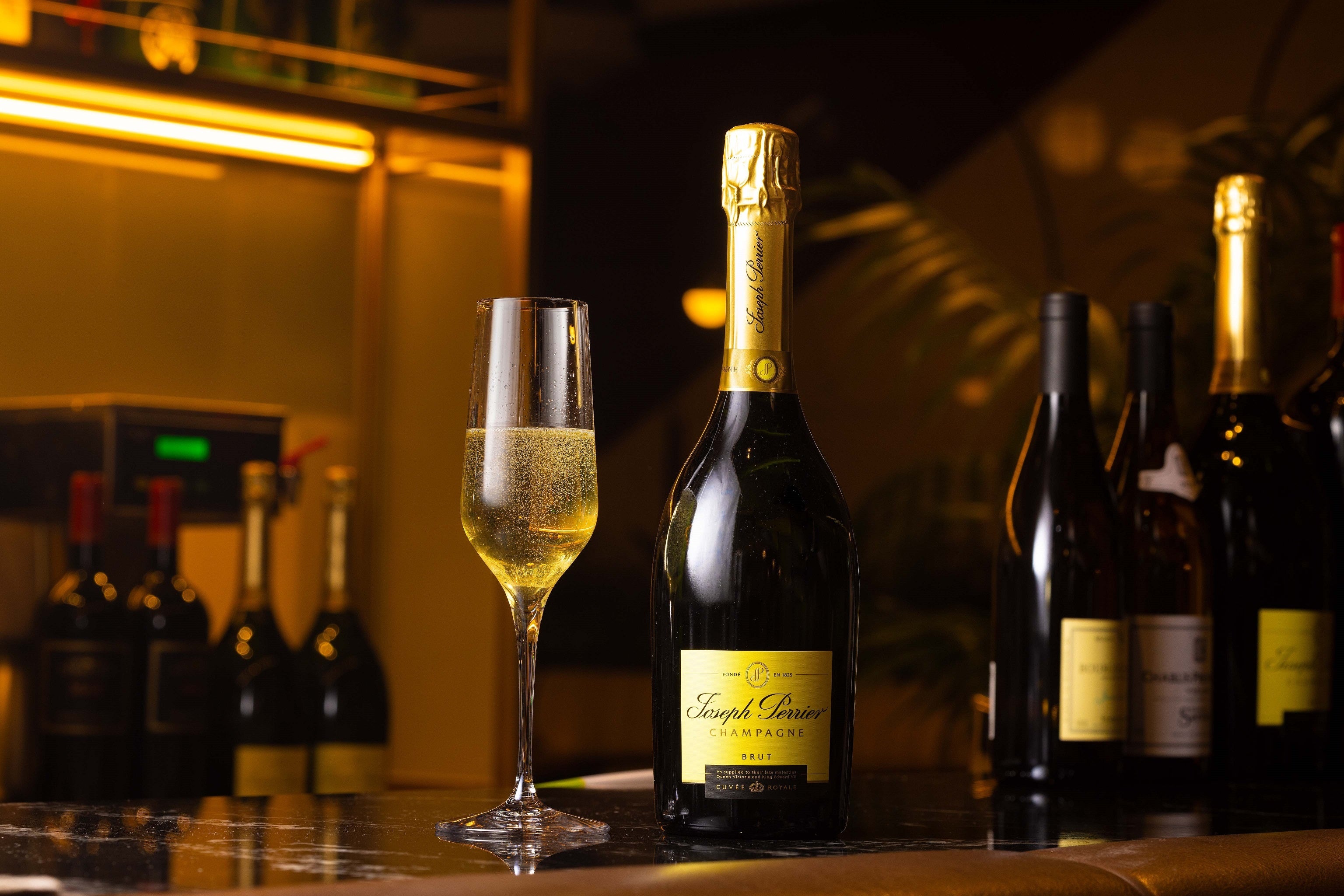 ドリンクイメージ