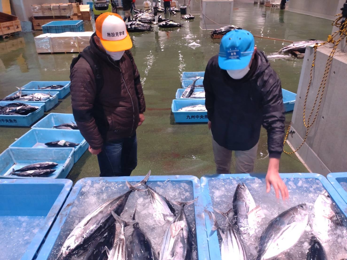 現地視察の様子