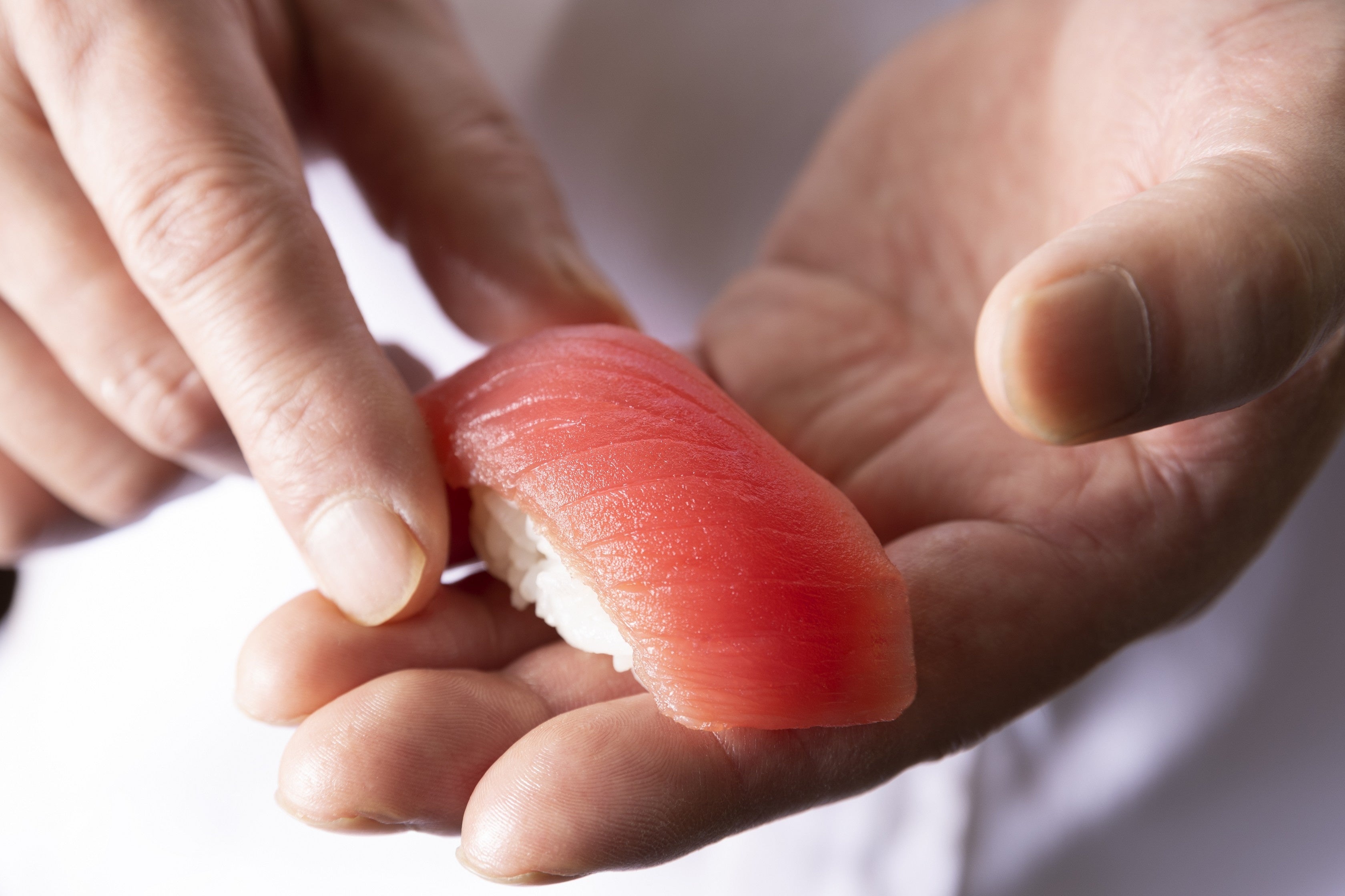 実演　握り寿司