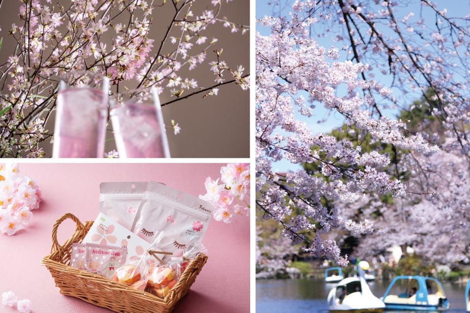 桜花爛漫ステイプランイメージ