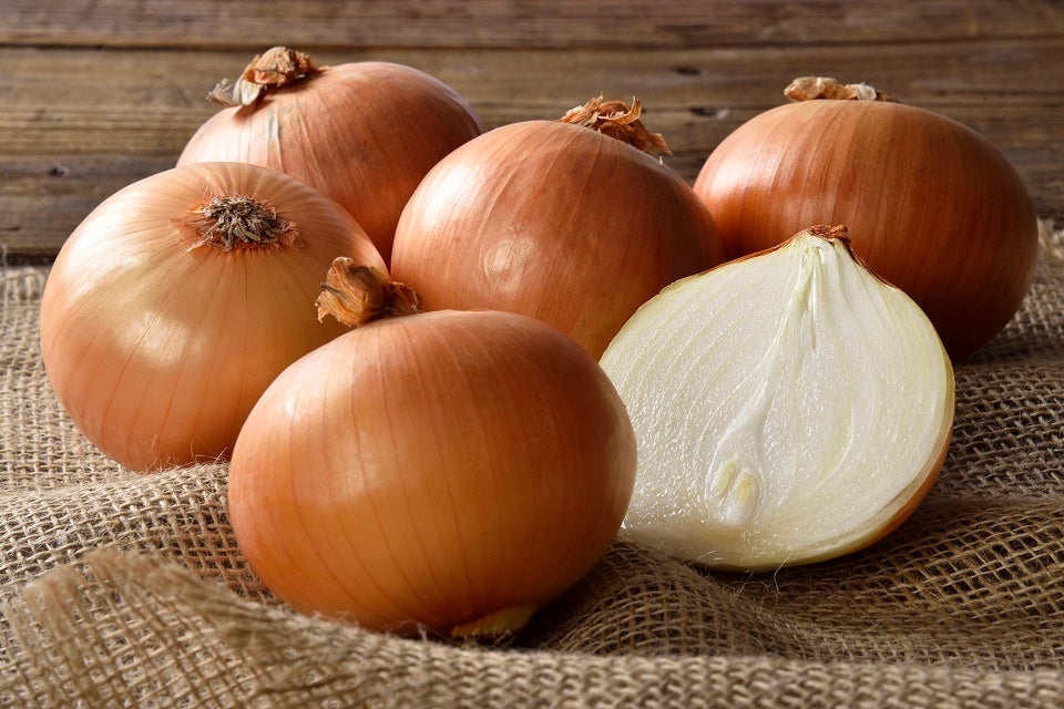 JAきたみらいのお野菜の詰め放題