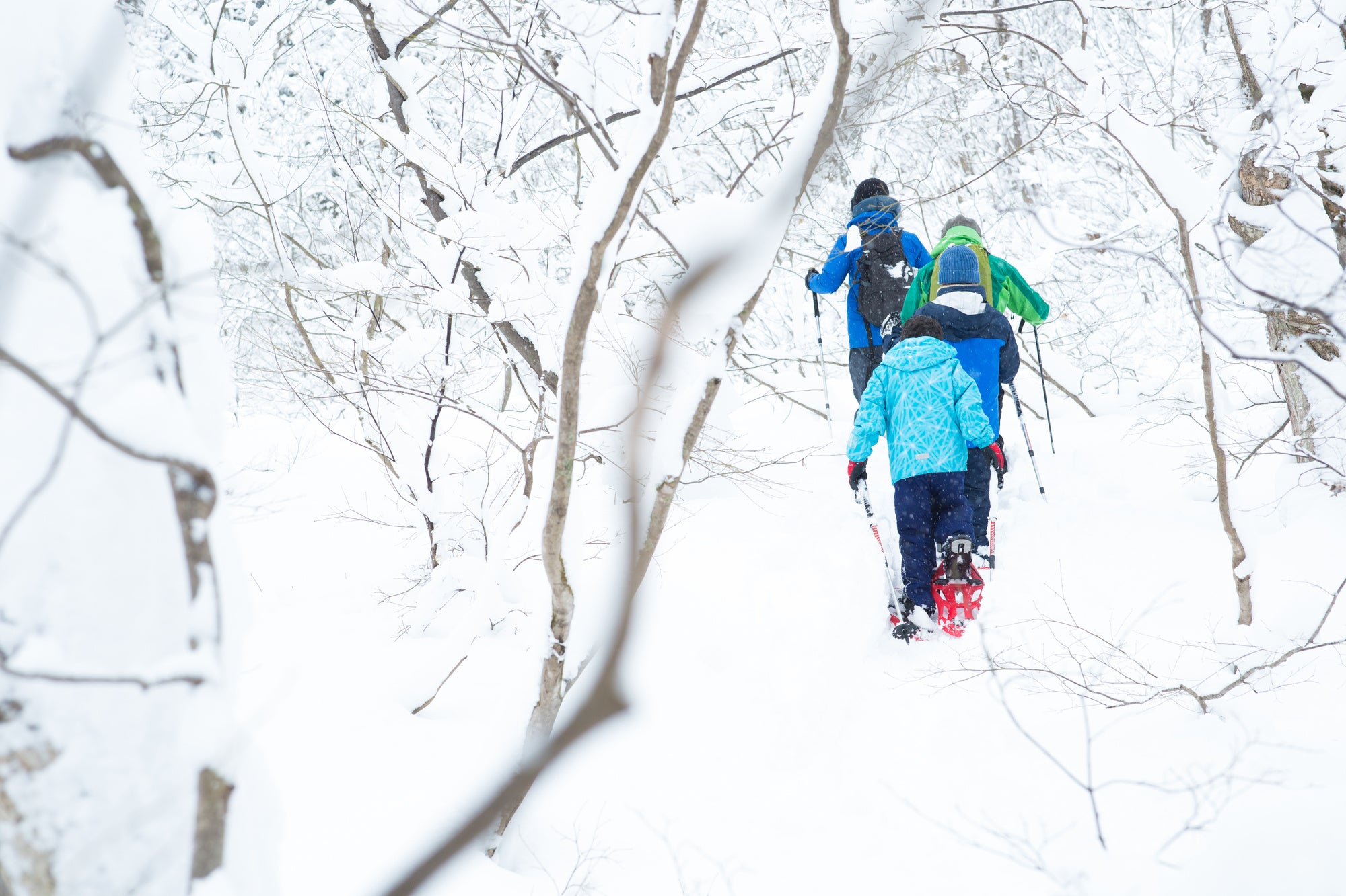 北海道リゾート「鶴雅」より、日本有数の水質を誇る神秘の湖「支笏湖