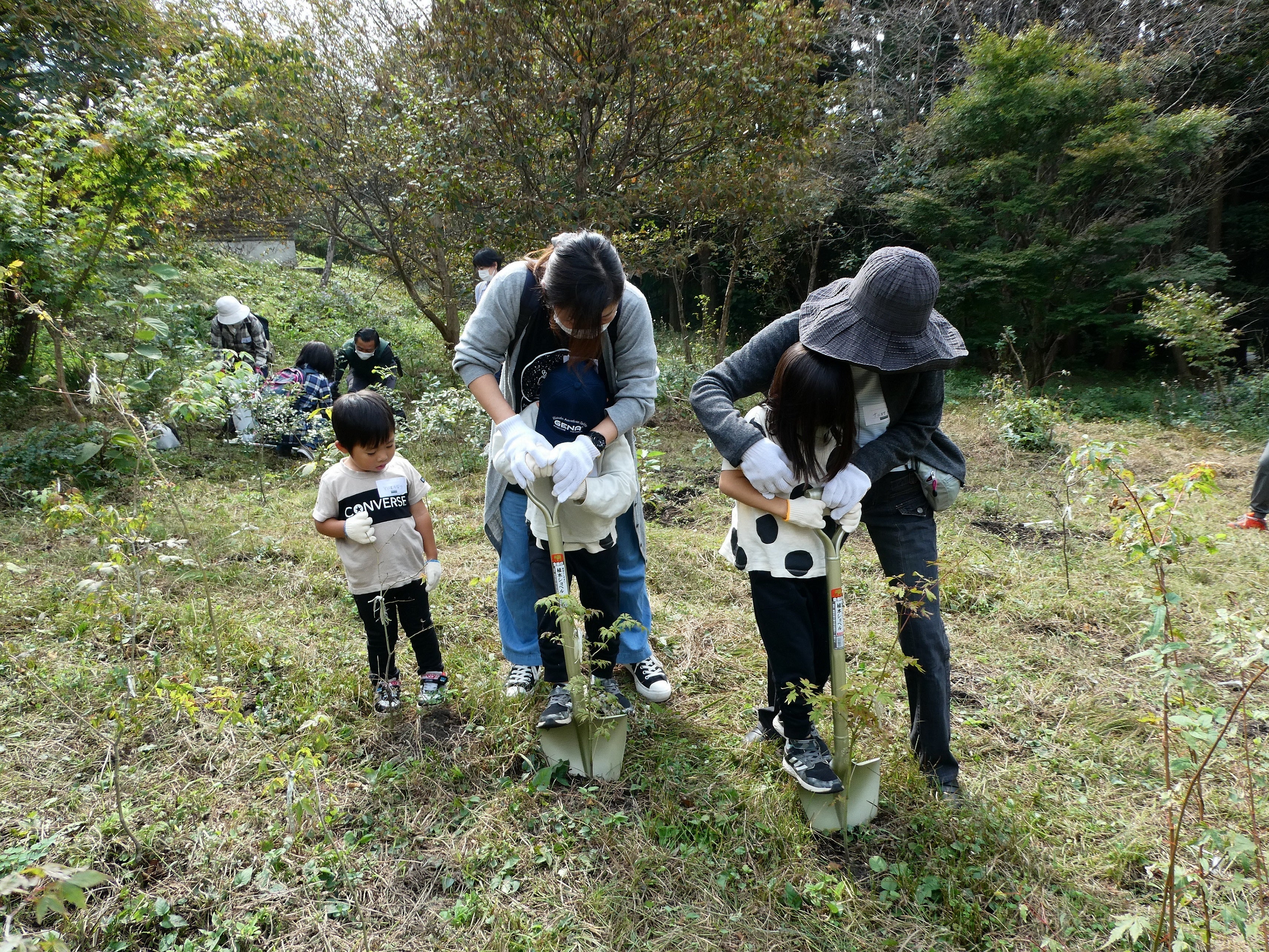 植樹体験の様子