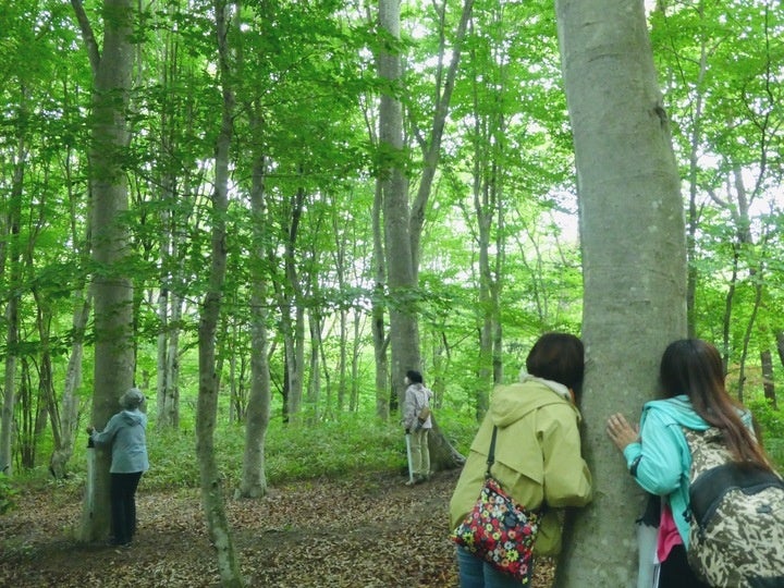 クレディセゾンが運営する「赤城自然園」春の開園 2023年度は 4