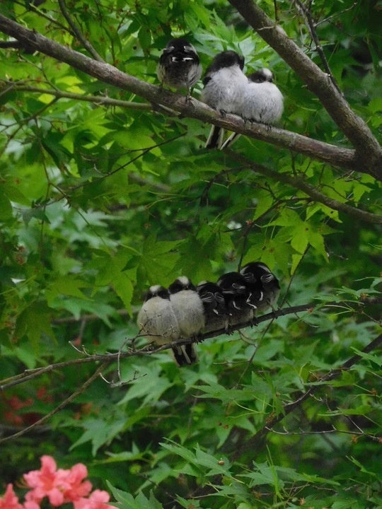 フォトコンテスト2021 最優秀賞作品