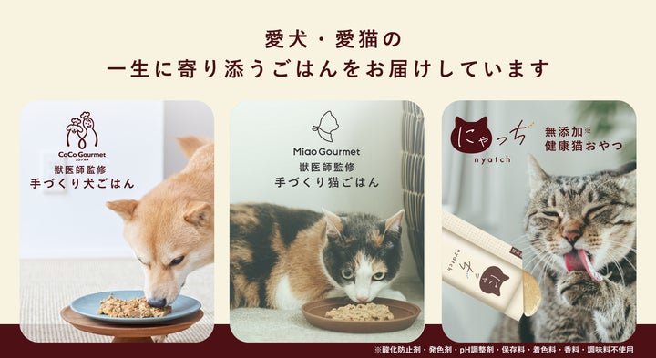 愛猫用の国産無添加ピューレおやつ「にゃっち」セブン‐イレブン松戸 愛猫用の国産無添加ピューレおやつ「にゃっち」セブン‐イレブン松戸