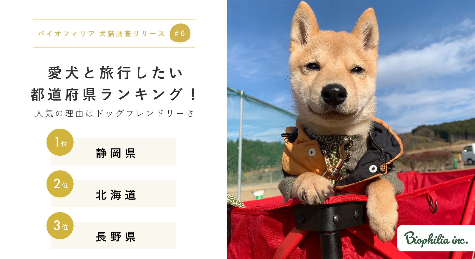 Biophilia 犬猫調査リリース 6 Gw目前 愛犬との旅行で人気の都道府県ランキング発表 トップ3は静岡 県 北海道 長野県 株式会社バイオフィリアのプレスリリース Biophilia 犬猫調査リリース 6 Gw目前 愛犬との旅行で人気の都道府県ランキング発表 トップ3は静岡 県 北海道 長野県 株式会社バイオフィリアのプレスリリース