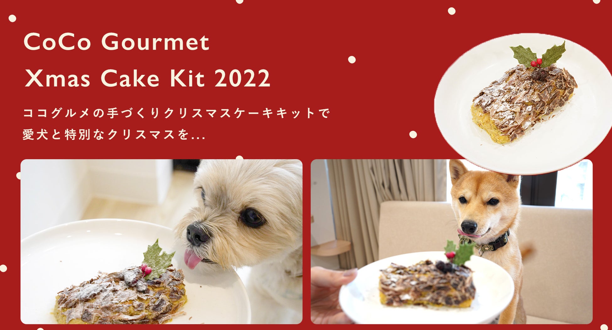 フレッシュペットフード ココグルメからワンちゃん用クリスマスケーキ キットが登場 11月10日から500個限定で予約販売します 株式会社バイオフィリアのプレスリリース フレッシュペットフード ココグルメからワンちゃん用クリスマスケーキ キットが登場 11月10日から500個限定で予約販売します 株式会社バイオフィリアのプレスリリース