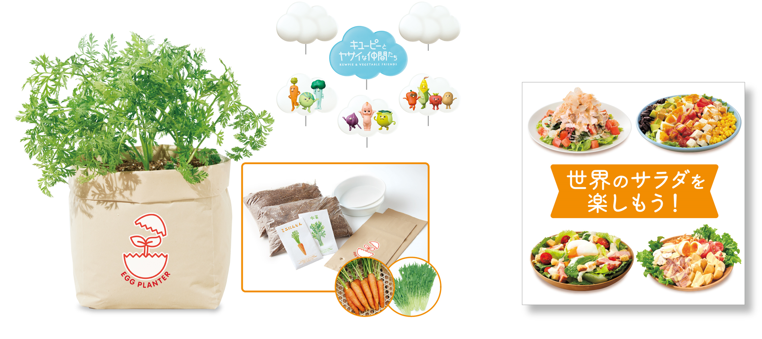 賞品イメージ　㊧収穫体験キット一式（画像はイメージです）、　㊨レシピブック（デザインは実際と異なります）