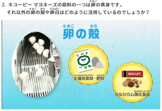 株式会社ワイズ｜SDGsに関する方針と当社の取り組みについて