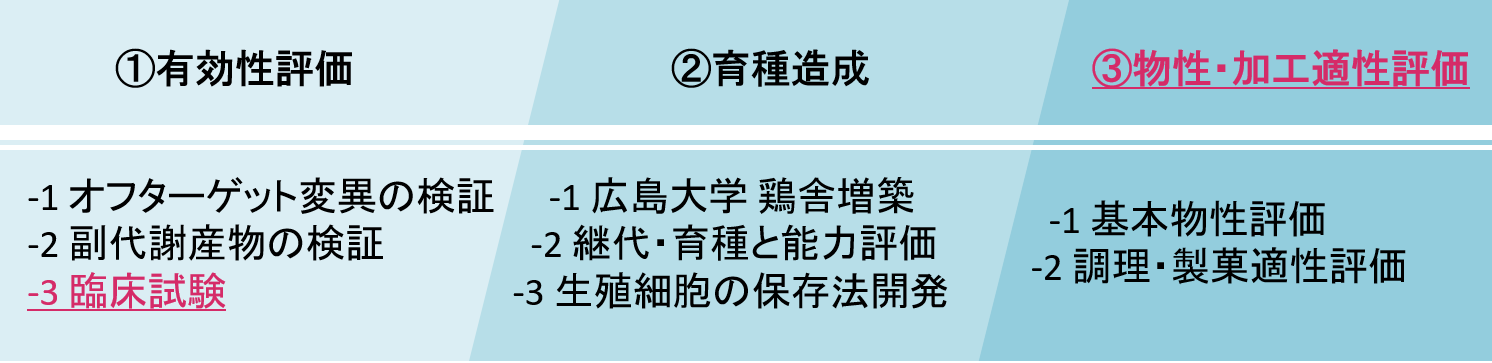 図3 応用研究フェーズの軸となる研究テーマ