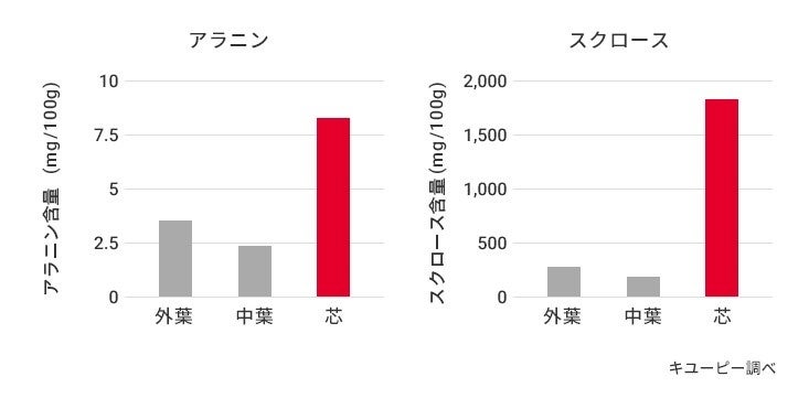 グラフ キャベツの部位別「アラニン」と「スクロース」の含量 （キユーピー調べ）