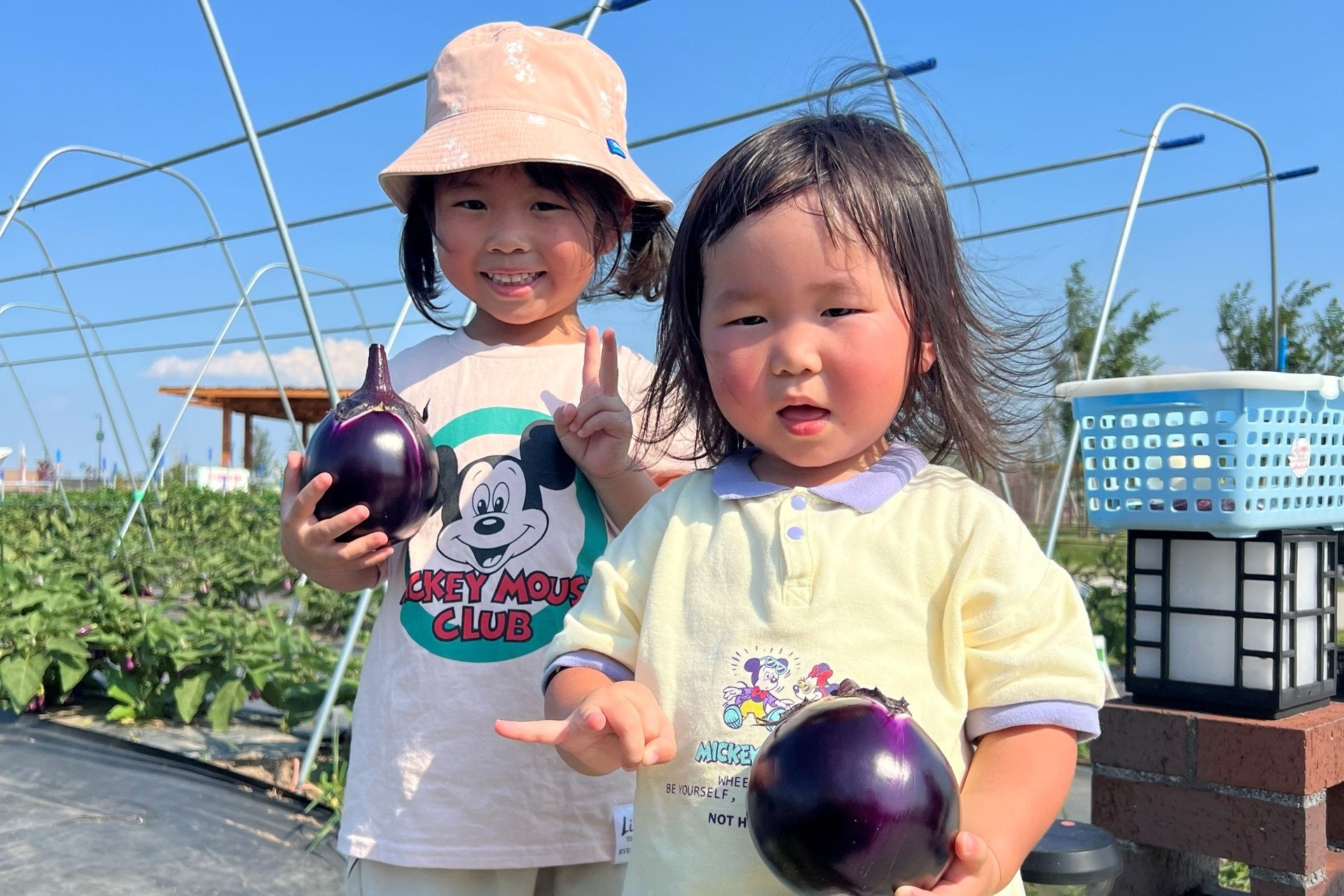 収穫体験イメージ