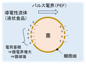 焼肉こじまがKCPトレーナー研修を実施 働きながら学べる環境を支える指導者を育成