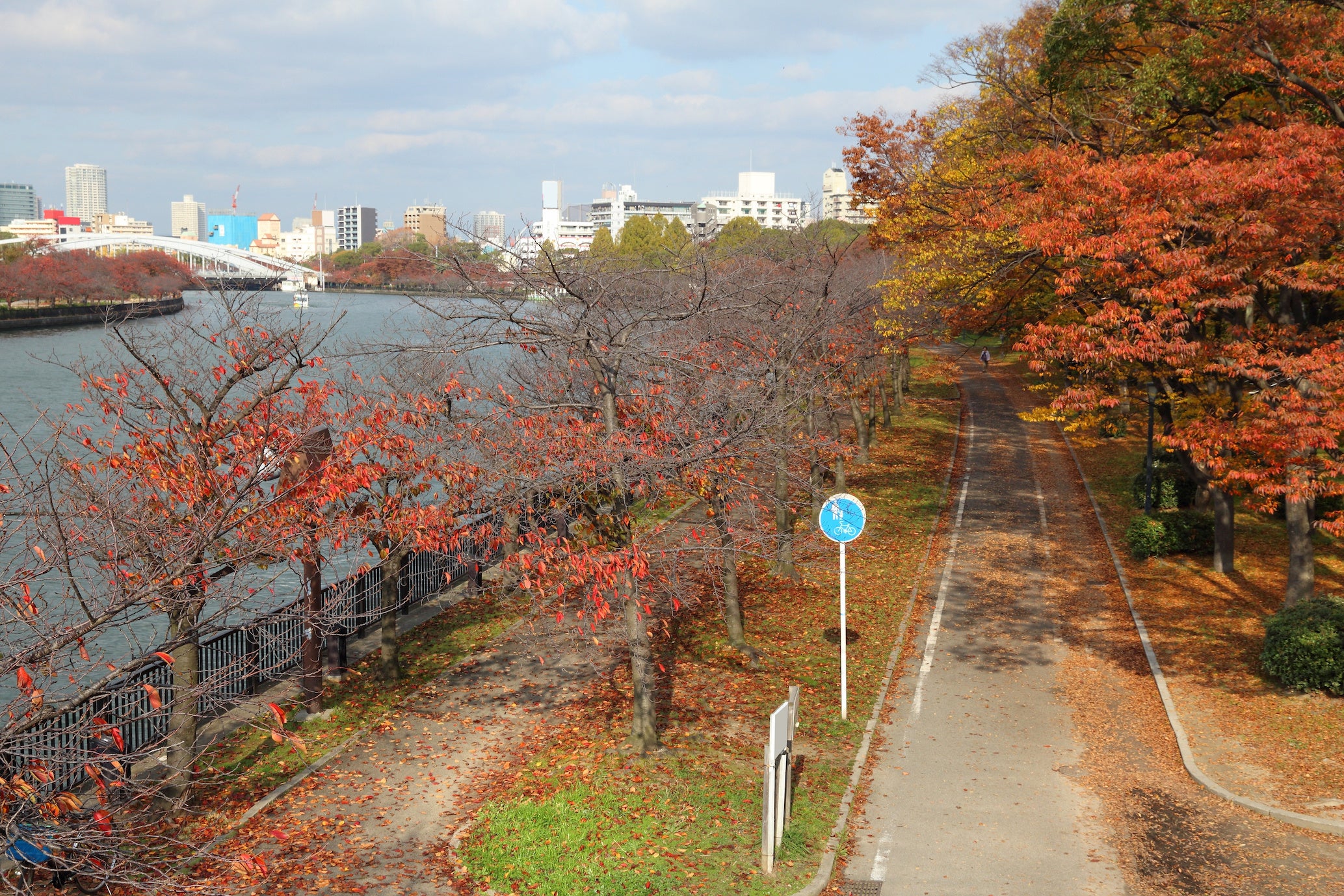 大阪・毛馬桜之宮公園