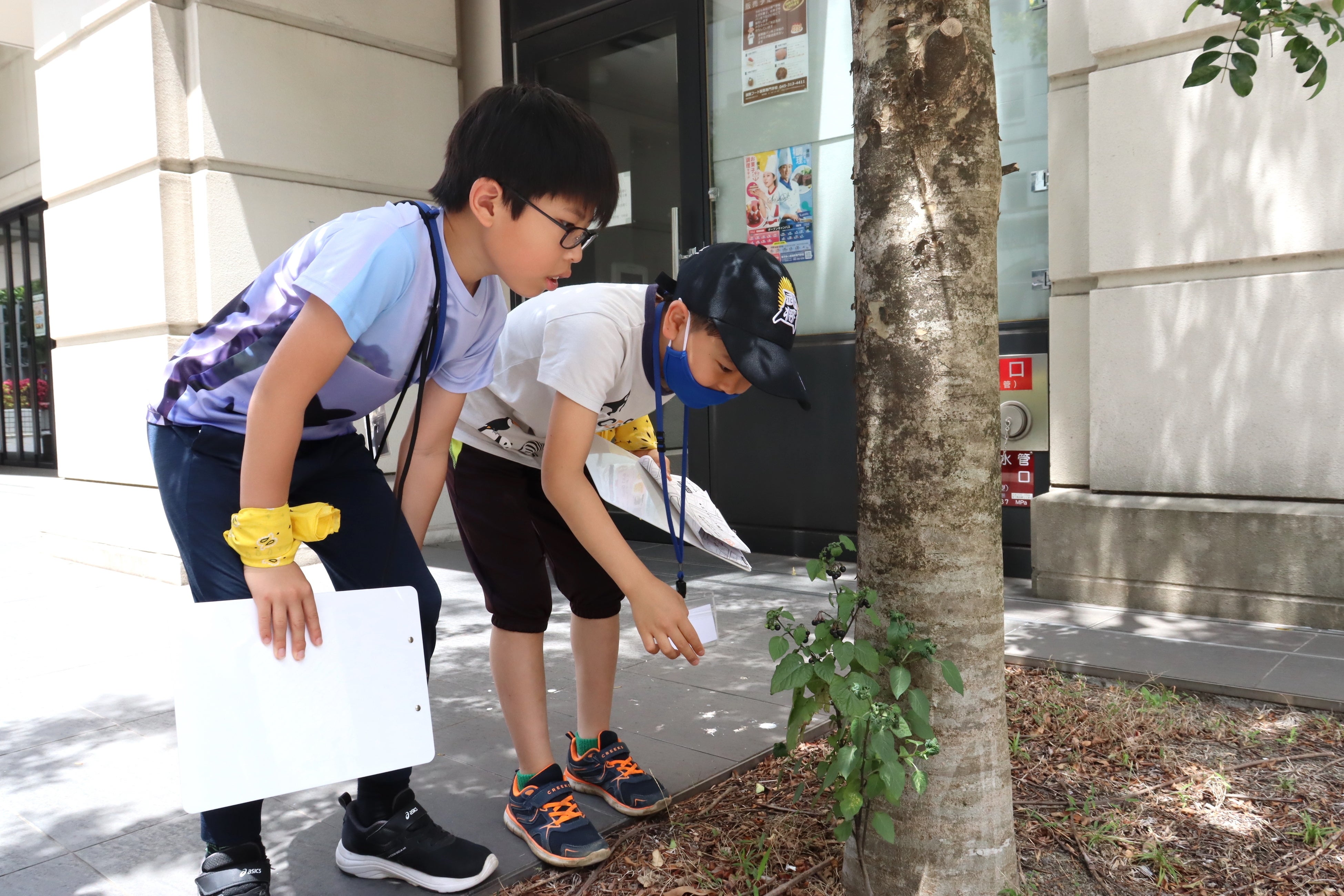 今までの活動の様子