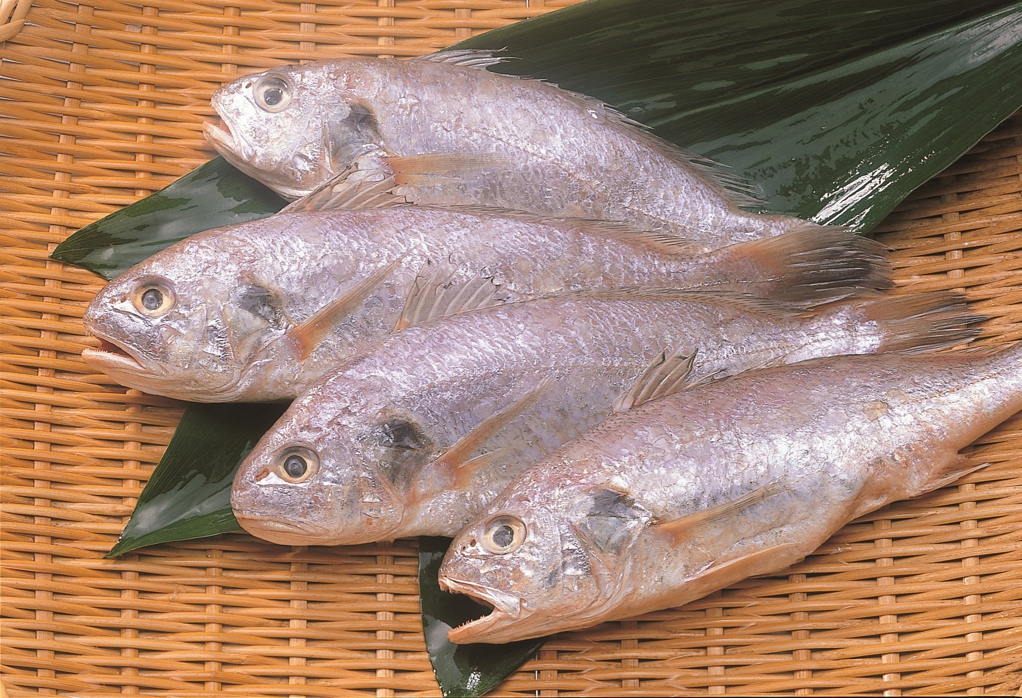 魚、水、技、全て一番を揃えた最高級かまぼこ御蒲鉾 「一