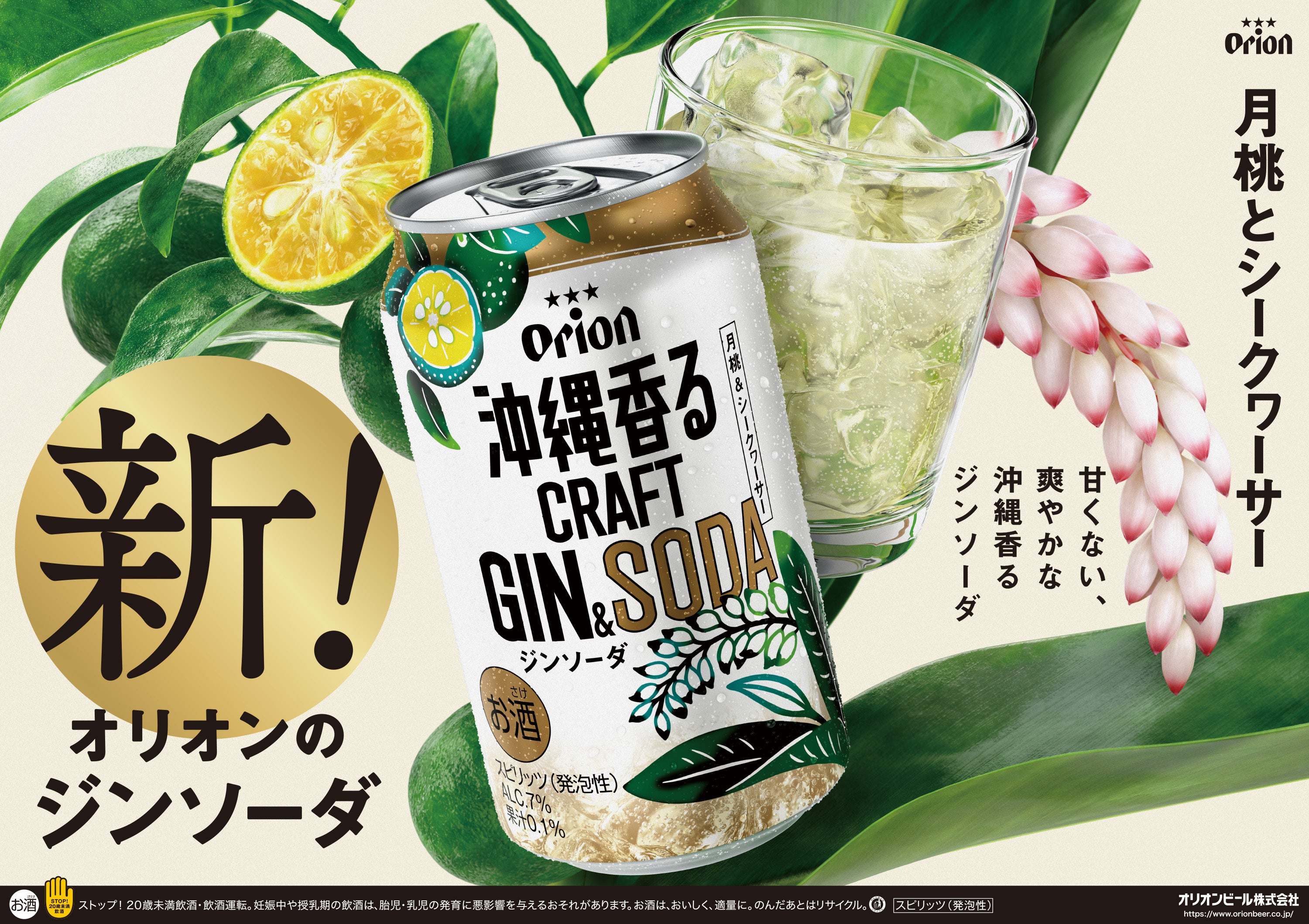 Nになります。リポソームピール×2 リピ割 複数割 限定】ビールオールスター飲み比べ6種12缶セット ザ・ドラフト