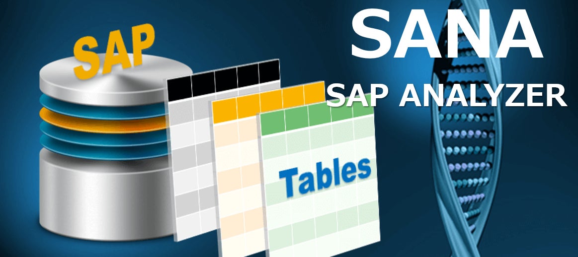 SAP ANALYZER