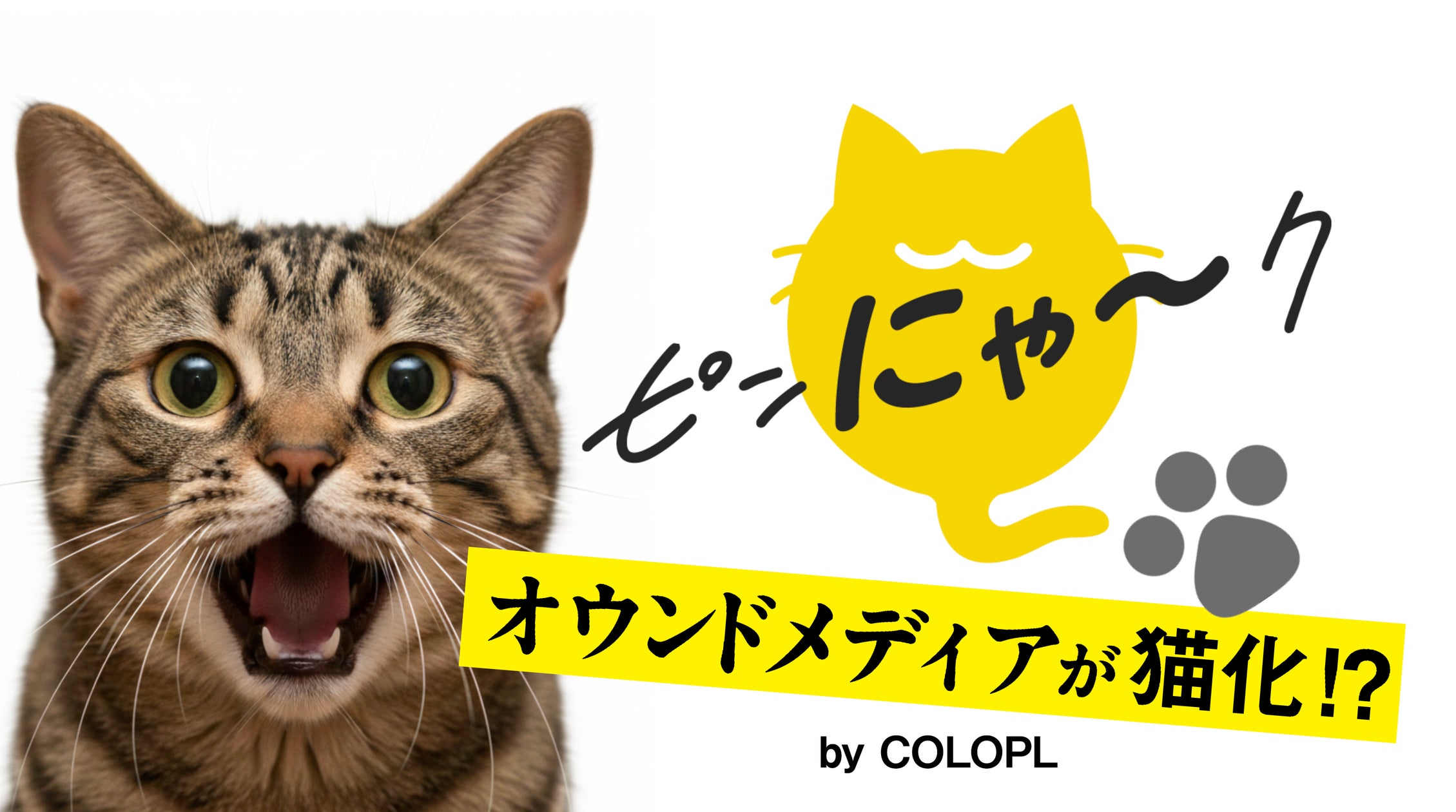 コロプラ、猫の日にオウンドメディア「ピンにゃ〜ク」を猫ジャック! コロプラ、猫の日にオウンドメディア「ピンにゃ〜ク」を猫ジャック!