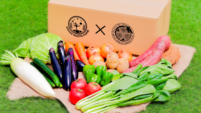 写真の野菜はイメージです