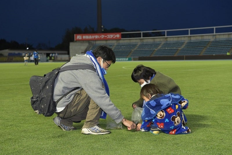 ピッチメンテナンス