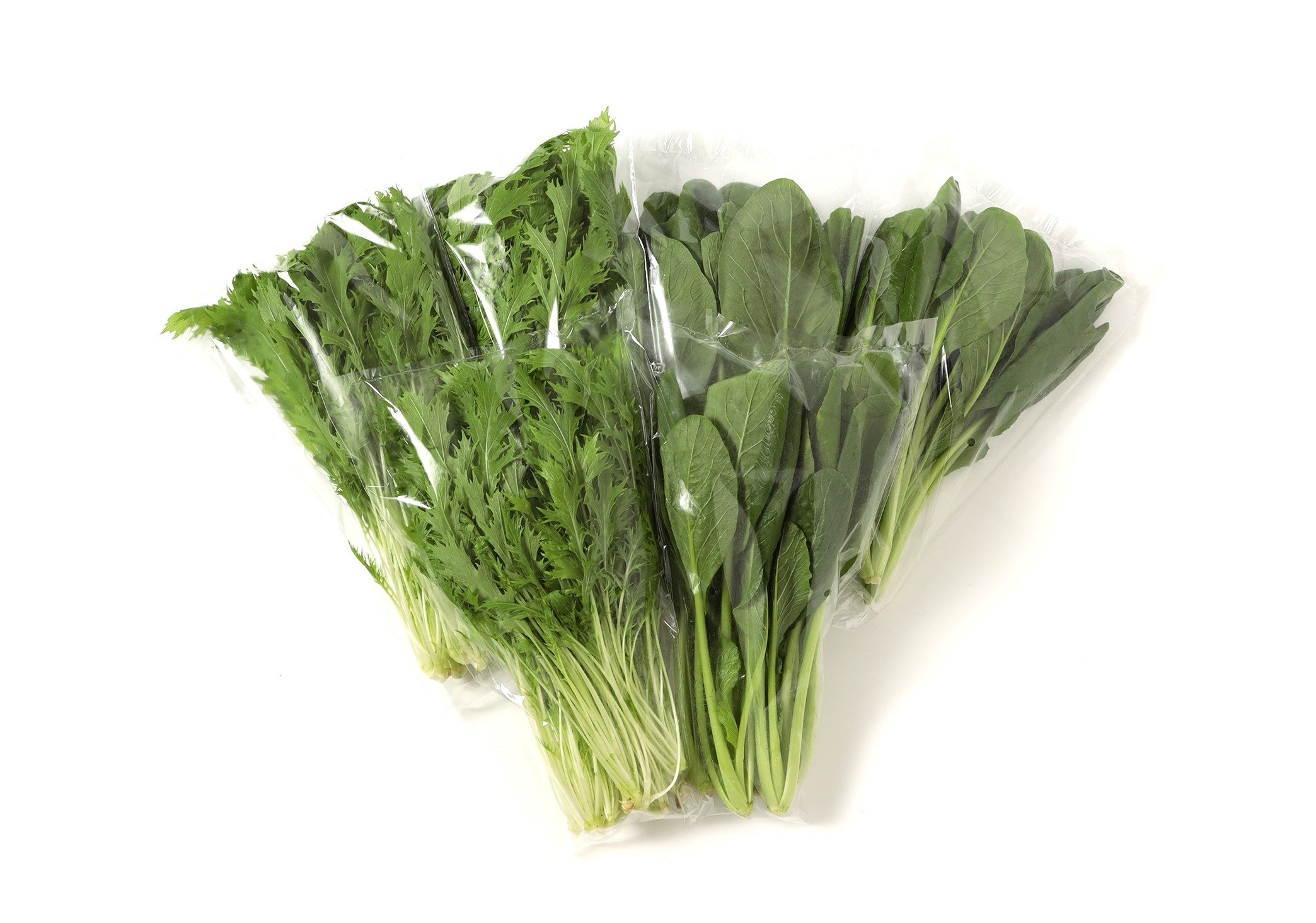 シャキッと野菜しゃぶしゃぶセット