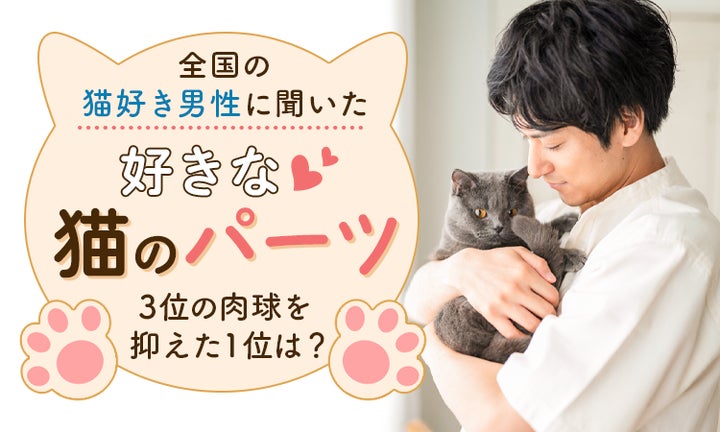 全国の猫好き男性に聞いた「好きな猫のパーツ」2位の肉球を抑え 全国の猫好き男性に聞いた「好きな猫のパーツ」2位の肉球を抑え