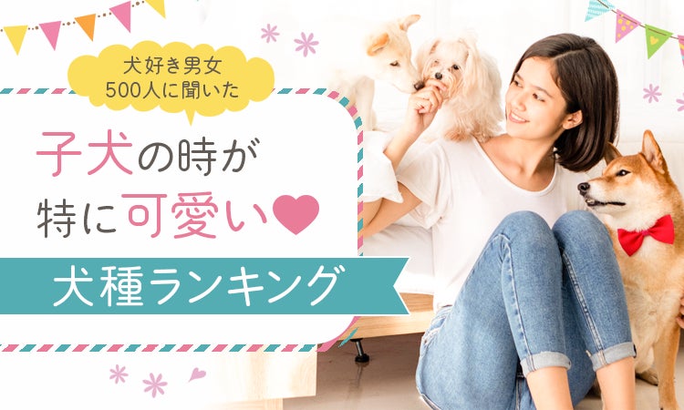 犬好き男女500人に聞いた 子犬の時が特に可愛い 犬種ランキング 株式会社nexerのプレスリリース 犬好き男女500人に聞いた 子犬の時が特に可愛い 犬種ランキング 株式会社nexerのプレスリリース