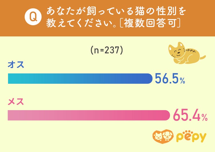 ペットの名前に関する調査 どのような名前が多い その由来は 株式会社nexerのプレスリリース ペットの名前に関する調査 どのような名前が多い その由来は 株式会社nexerのプレスリリース