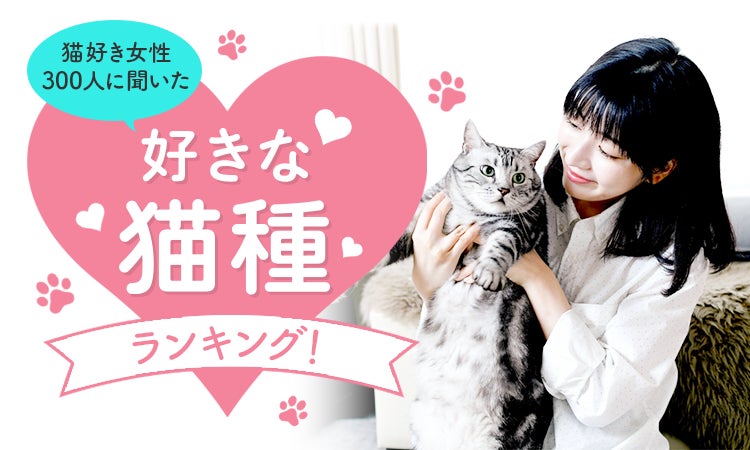 猫好き女性300人に聞いた】好きな猫種ランキング!2023年最新版 | 株式 猫好き女性300人に聞いた】好きな猫種ランキング!2023年最新版 | 株式