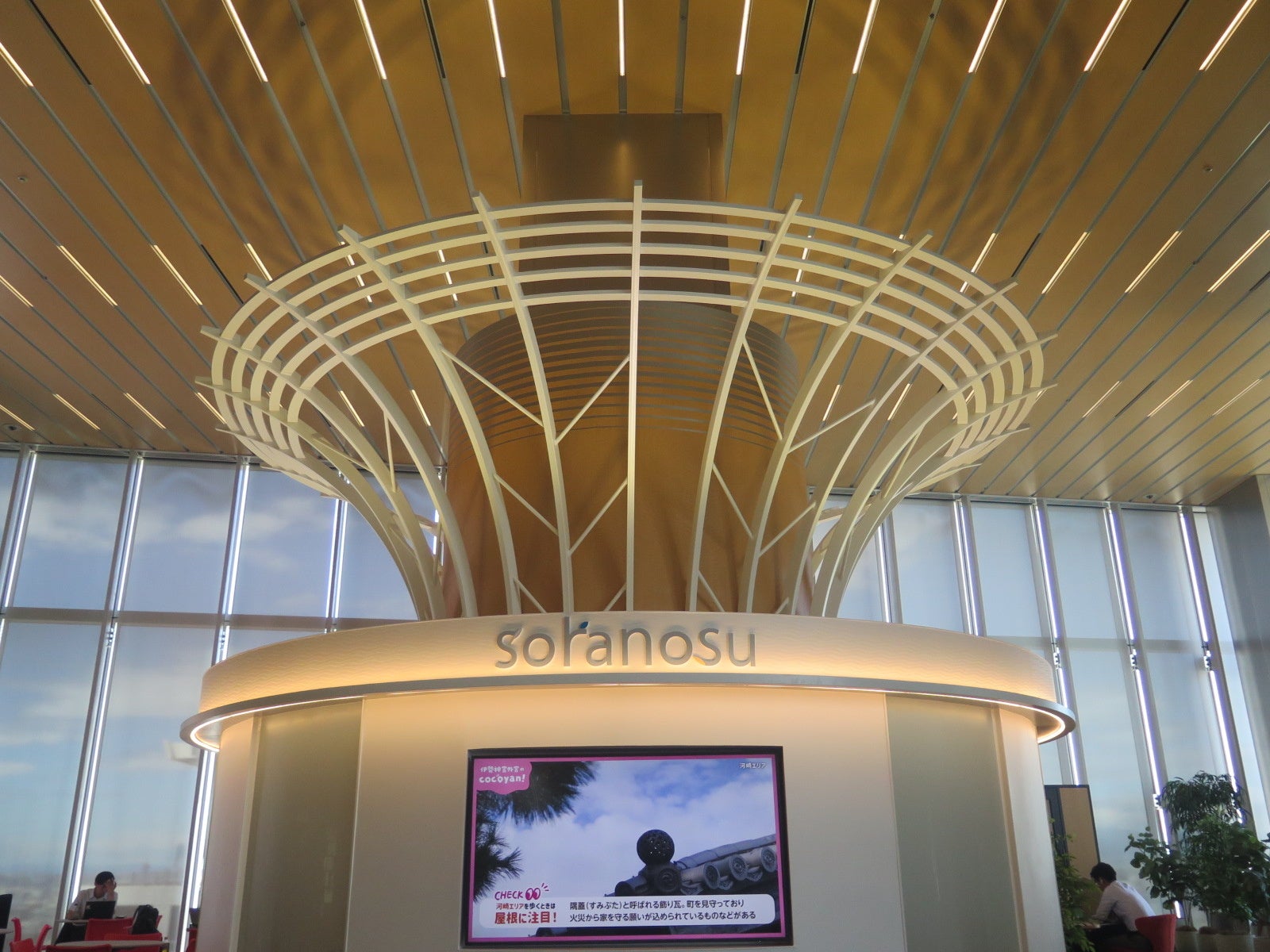 新施設「soranosu」のシンボルツリー