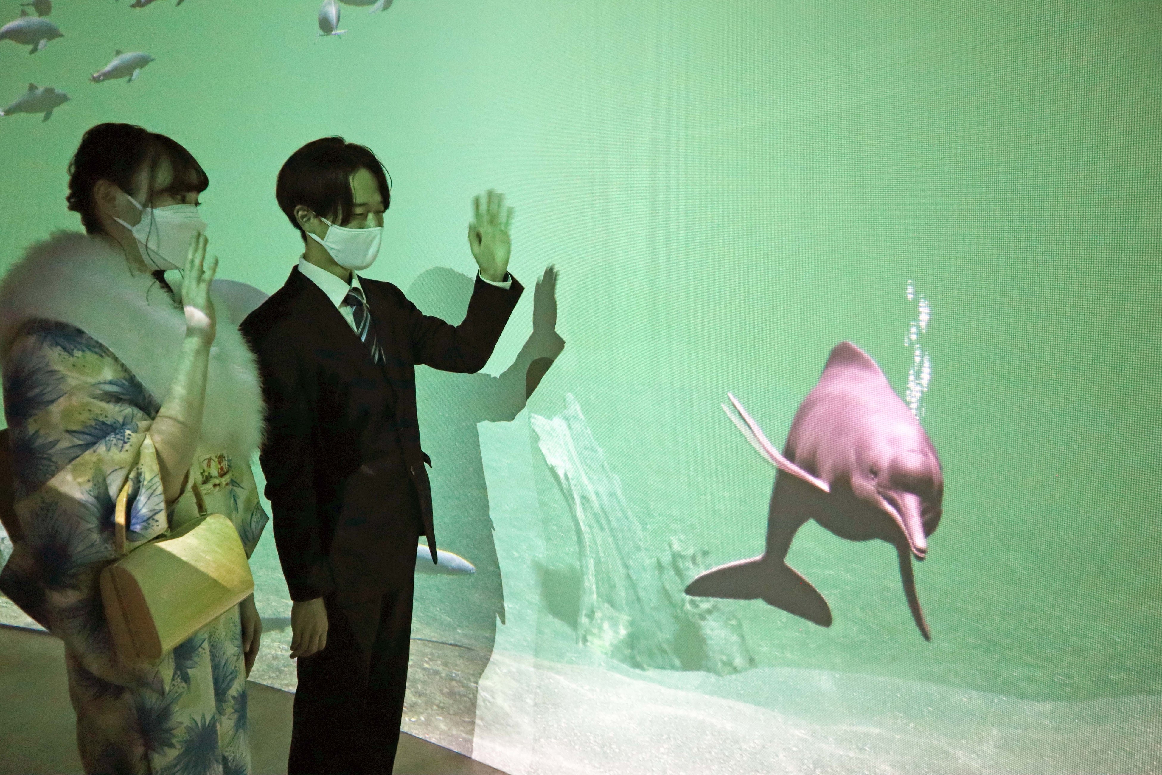 パノラマスクリーン