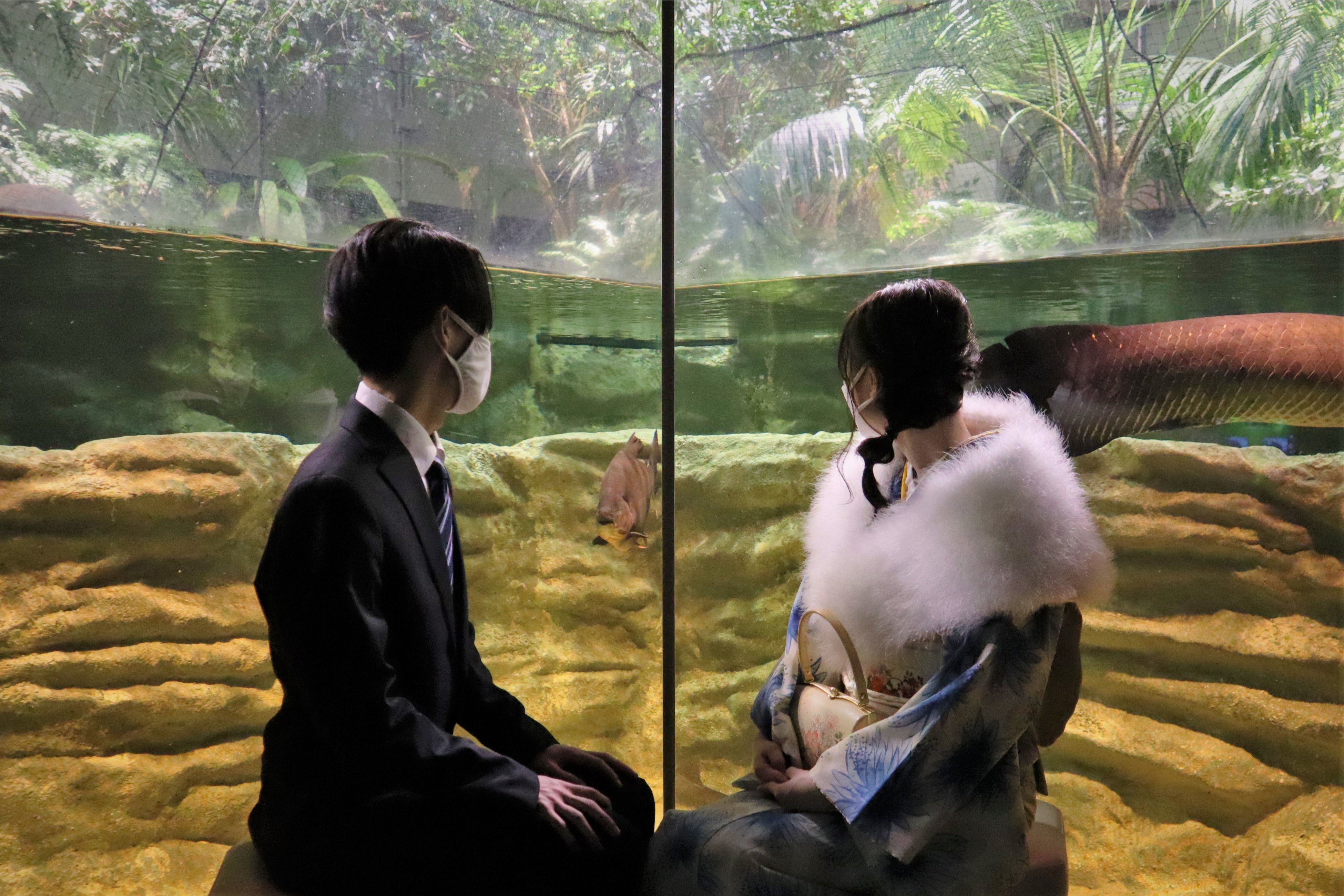 アマゾンゾーンイメージ