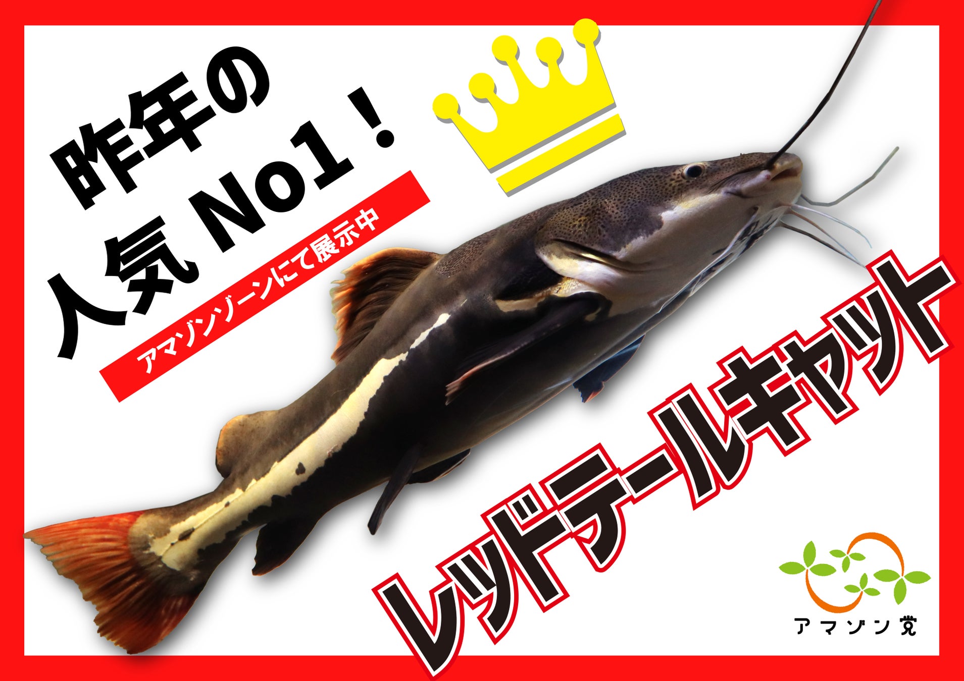 選挙ポスターイメージ