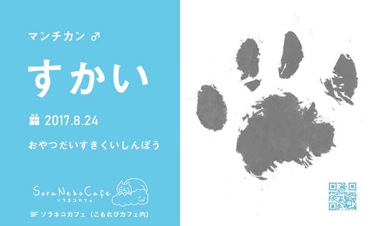 ネコ名刺イメージ