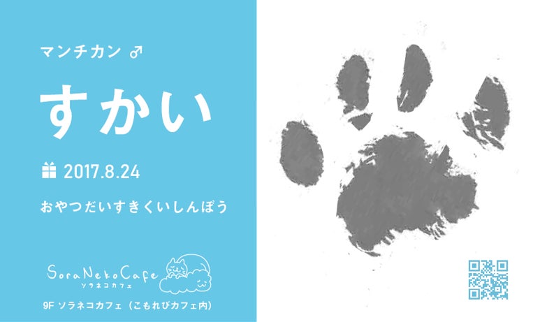 ネコ名刺イメージ