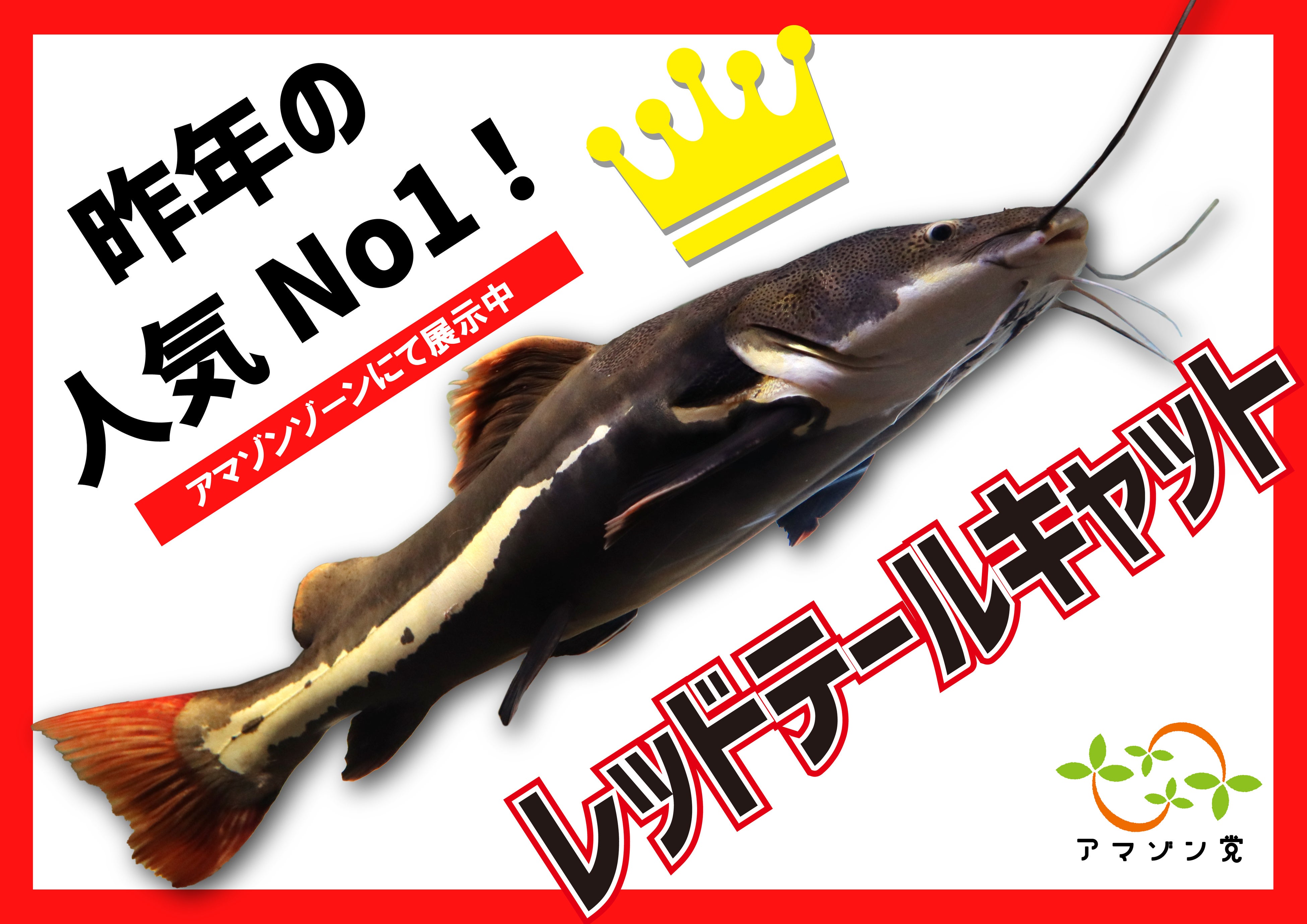 選挙ポスターイメージ