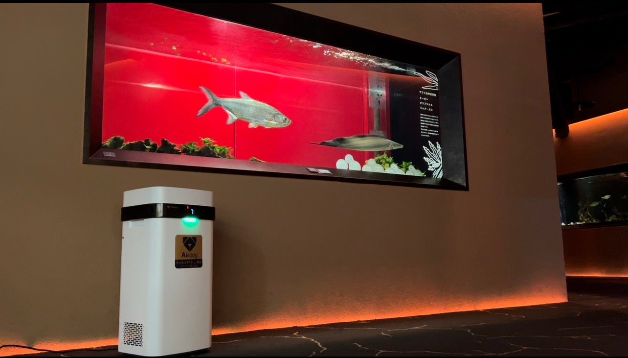 ▲「Airdog X5s」設置イメージ