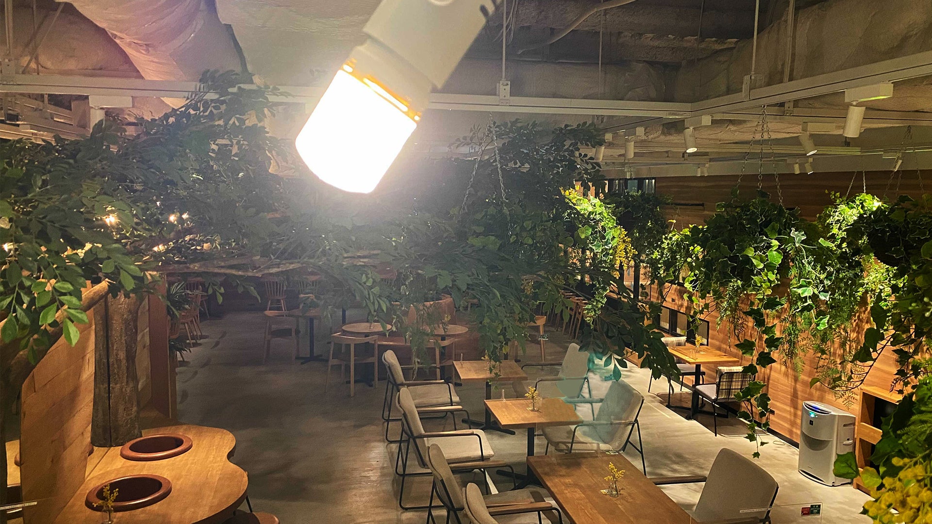 ▲こもれびカフェ設置イメージ