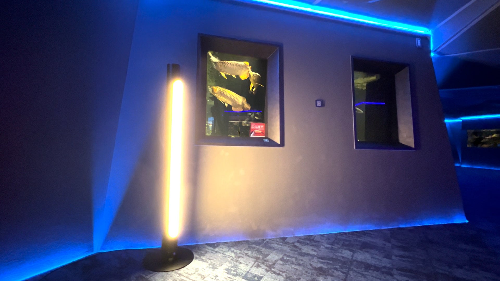 ▲「WARP Air」設置イメージ