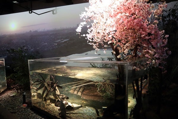 ▲ 多摩川ゾーンイメージ