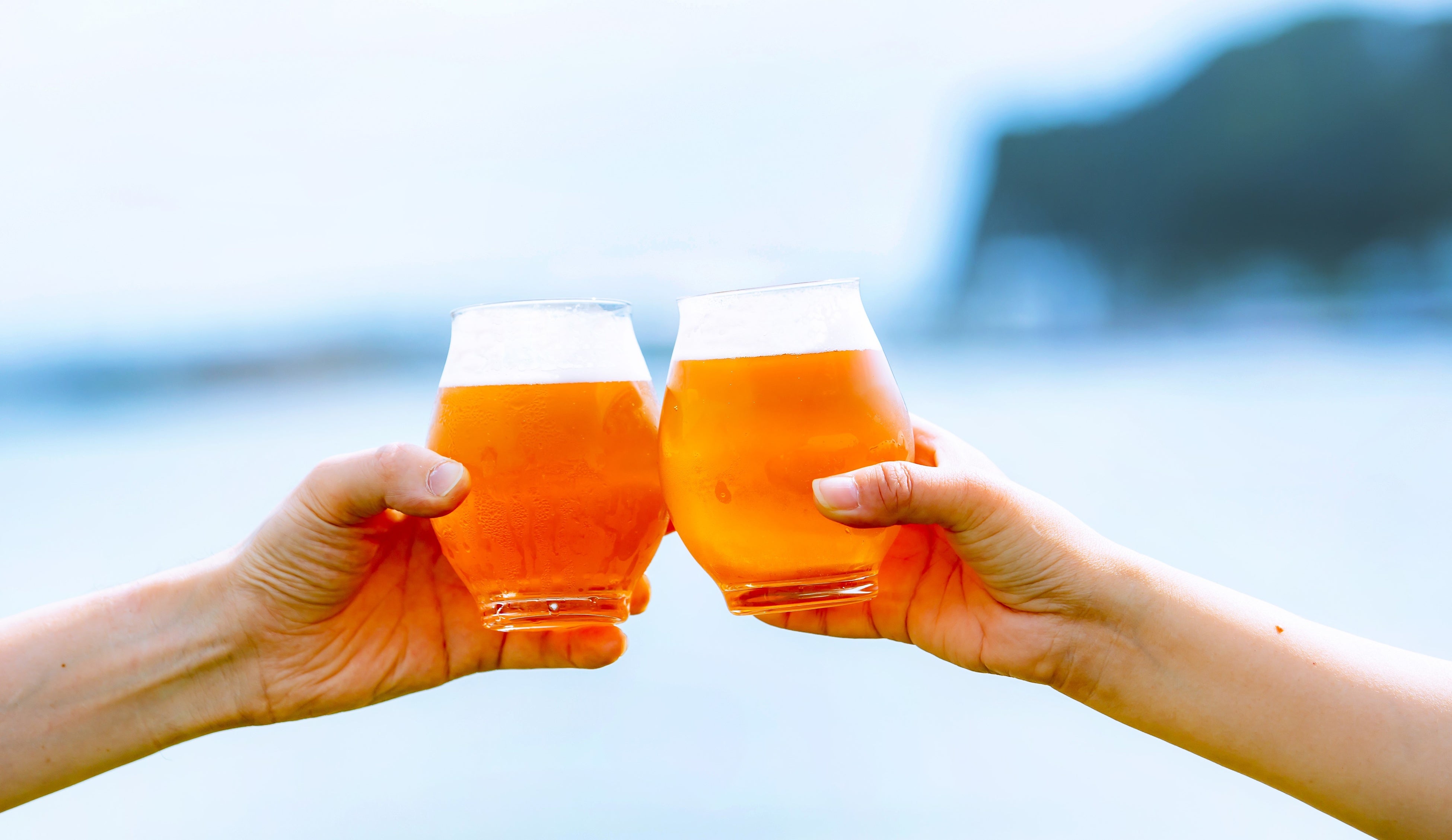 江の島を臨む会場で