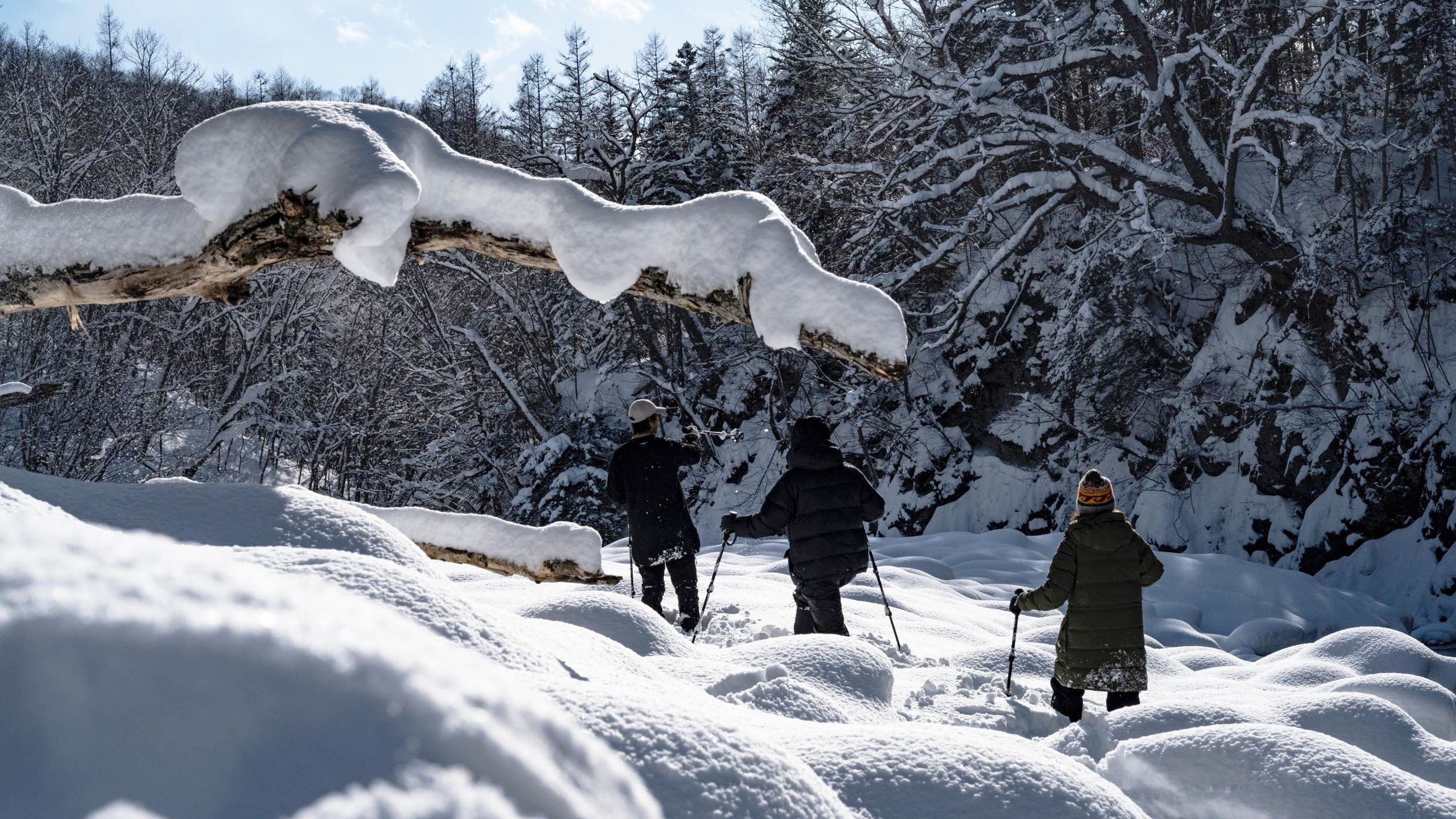 無料キャンペーン中のスノーシュー