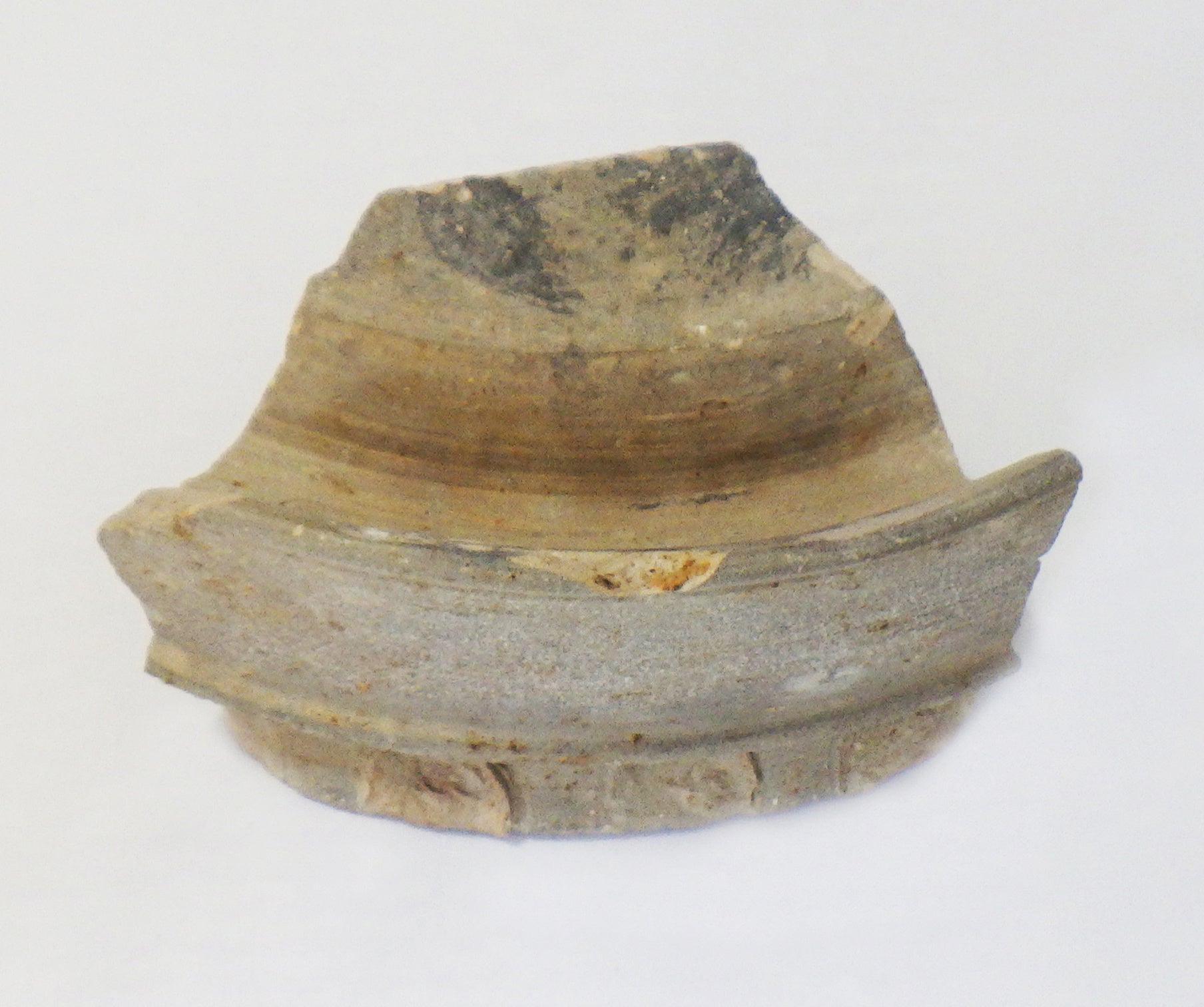 写真提供：岩倉市教育委員会