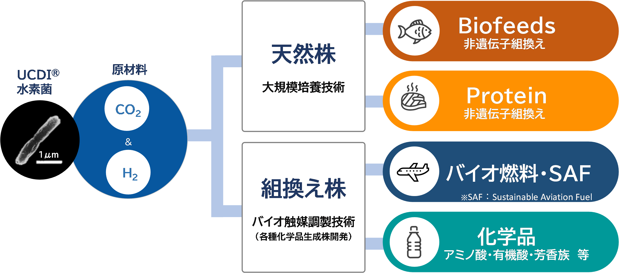 脱石油に向けたCO2資源化技術 ―化学・生物プロセスを中心に― 脱石油に向けたCO2資源化技術 ―化学・生物プロセスを中心に