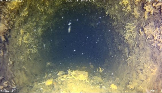 取水路（小径管路）の管内点検