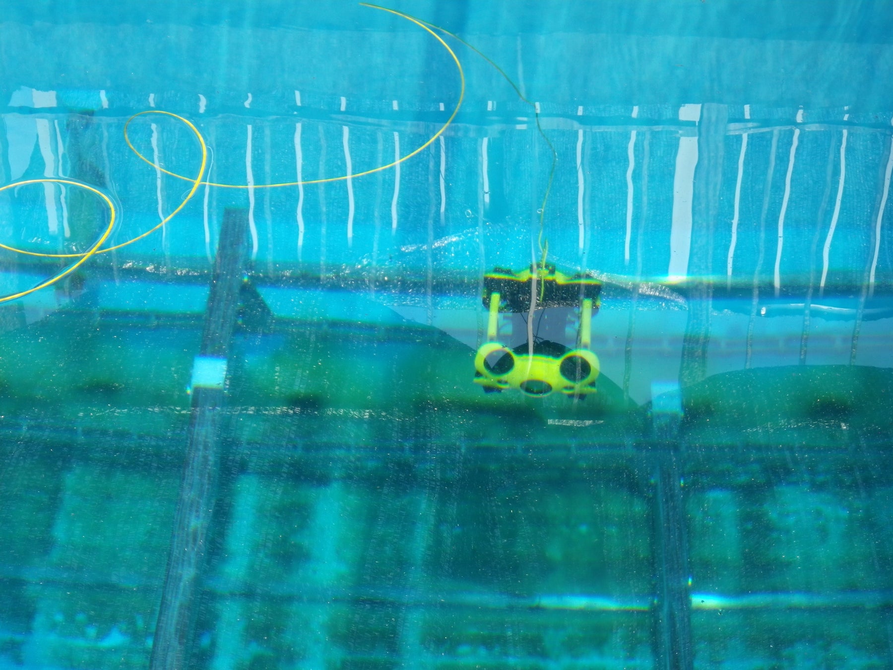 水中ドローンの様子