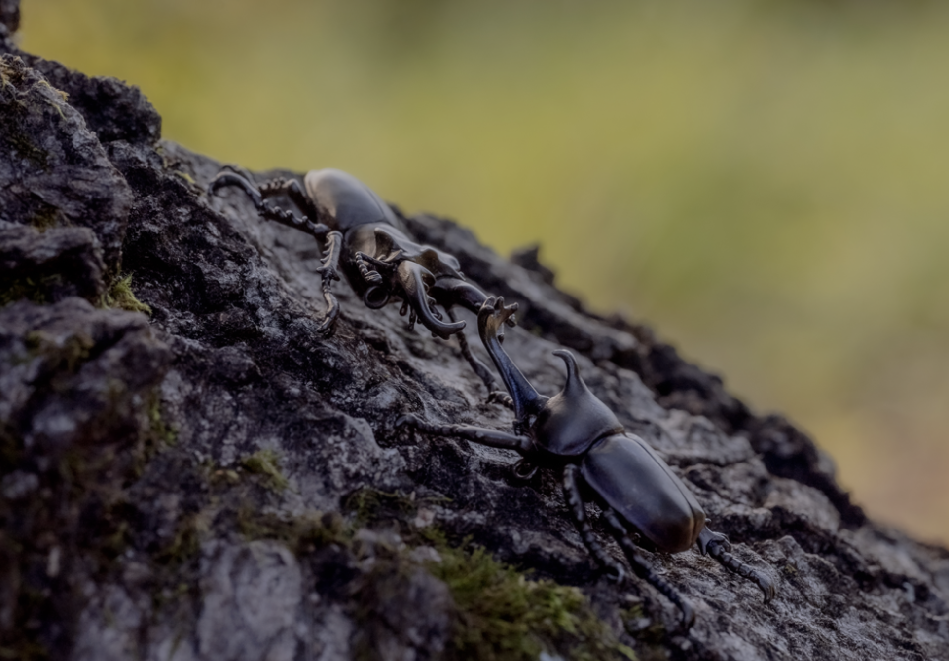 昆虫をモチーフにしたNFTアートジュエリー「All Insects(オールインセ